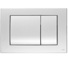 Кнопка смыва механическая OLI Metal Dual 656004 сталь хром (антивандальная)
