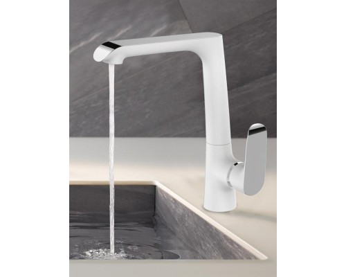 BONN 306 WT