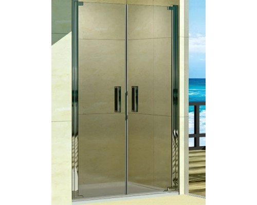 Душевое ограждение Weltwasser WW600 600K2-100 1000х1850 мм стекло прозрачное, профиль хром