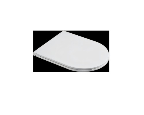 Сиденье для унитаза WeltWasser WW 009 GL-WT 330x380x490 санфаянс белый глянец