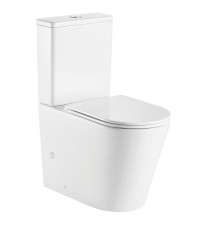 Weltwasser SALZBACH 001 GL-WT Унитаз компакт белый глянец напольный