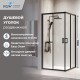 Душевой уголок RGW Passage RGW PA-39B 800x800 стекло прозрачное  , профиль черный