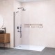 Душевая перегородка RGW WA-102B неподвижное Walk In cтекло прозрачное, 6 мм 70*195 чёрный 351010207-14