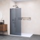 Душевая перегородка Walk-In RGW 100x195 WA-110B стекло тонированное, профиль черный