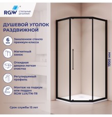 Душевой уголок RGW 38088699-14 90x90 см, стекло прозрачное 6 мм, профиль черный
