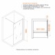 Душевая перегородка RGW WA-02-1 неподвижное Walk In cтекло Cora, 6 мм 70*195 xром 411002107-41