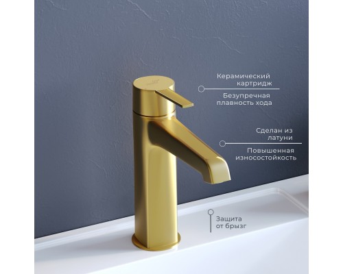 Смеситель на раковину RGW SP-301G