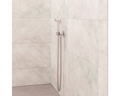Гигиенический душ RGW Shower Panels SP-210 581408210-01 со смесителем, хром 
