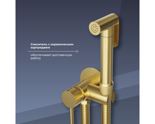 Гигиенический душ RGW Shower Panels 211-Gb, 581408211-06, со смесителем, золото