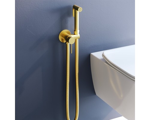 Гигиенический душ RGW Shower Panels 211-Gb, 581408211-06, со смесителем, золото
