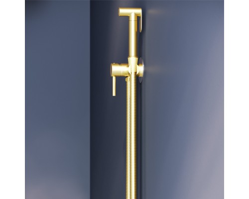 Гигиенический душ RGW Shower Panels 211-Gb, 581408211-06, со смесителем, золото