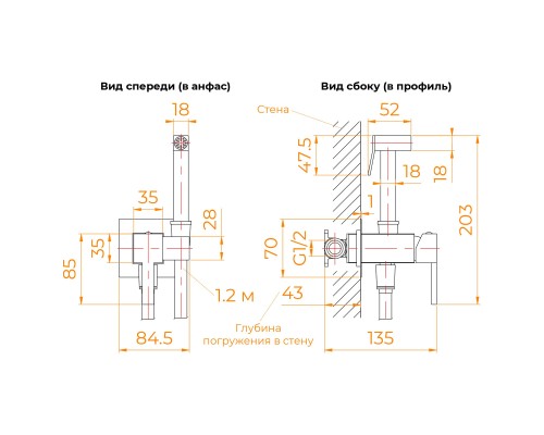 Гигиенический душ RGW Shower Panels SP-212, 581408212-01, со смесителем, хром