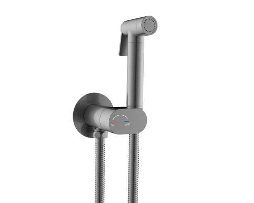 Гигиенический душ RGW Shower Panels SP-213Gr 581408213-11 со смесителем, оружейная сталь