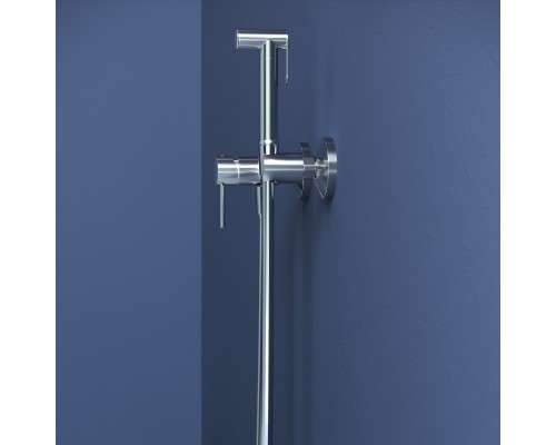 Гигиенический душ со смесителем RGW Shower Panels SP-215 581408215-01, хром