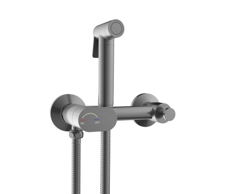 Гигиенический душ RGW Shower Panels SP-216Gr 581408216-11 со смесителем, оружейная сталь