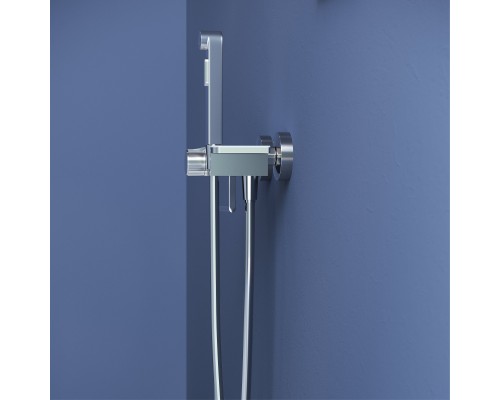 Гигиенический душ RGW Shower Panels 581408220-01, со смесителем, хром