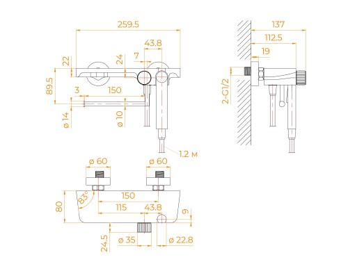 Гигиенический душ RGW Shower Panels 581408220-04, со смесителем, черный