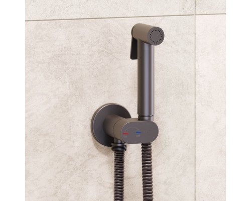 Гигиенический душ RGW Shower Panels SP-213Gr 581408213-11 со смесителем, оружейная сталь