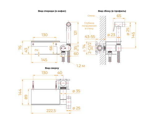 Гигиенический душ RGW Shower Panels SP-221 581408221-01 со смесителем, хром 