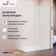 Душевая перегородка RGW WA-210, Матовое-Сатинат, 1000 