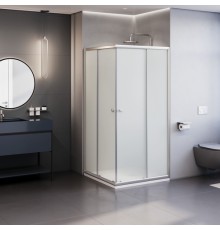 Душевой уголок RGW Dolphin TN-205-J(4) 80x80 матовое стекло 