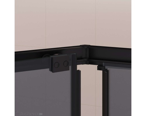 Душевой уголок RGW Passage 100x100 PA-86B стекло тонированное, профиль черный матовый (38088600-34N) 