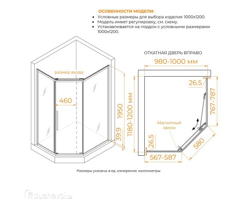 Душевой уголок RGW Passage 120x100 PA-86B стекло тонированное, профиль черный матовый (38088602-34N)