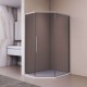 Душевой уголок RGW Passage 100x90 PA-86S стекло тонированное, профиль сатин (38088690-311N)