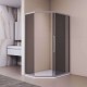 Душевой уголок RGW Passage 100x90 PA-86S стекло тонированное, профиль сатин (38088690-311N)
