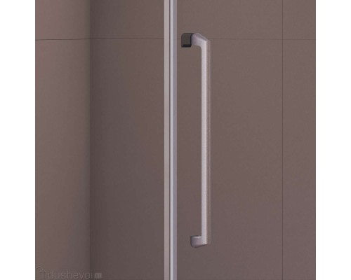Душевой уголок RGW Passage 100x90 PA-86S стекло тонированное, профиль сатин (38088690-311N)