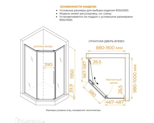 Душевой уголок RGW Passage 100x90 PA-86S стекло тонированное, профиль сатин (38088690-311N)
