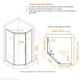 Душевой уголок RGW Passage 100x90 PA-86S стекло тонированное, профиль сатин (38088690-311N)