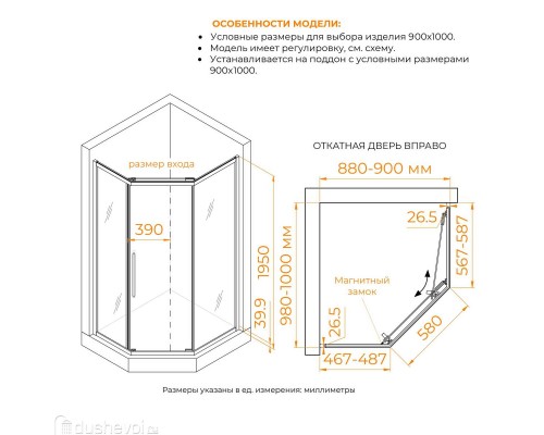 Душевой уголок RGW Passage 100x90 PA-86S стекло тонированное, профиль сатин (38088690-311N)