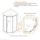 Душевой уголок RGW Passage 100x90 PA-86S стекло тонированное, профиль сатин (38088690-311N)