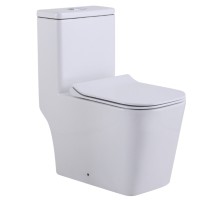 Унитаз напольный безободковый Santi Line SL-5024 сиденье Duroplast, микролифт, арматура GEBERIT, белый глянец