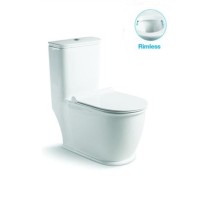Унитаз напольный безободковый Santi Line SL-5019 сиденье Duroplast, микролифт, арматура GEBERIT, белый глянец 