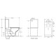 Унитаз-компакт безободковый с сиденьем микролифт WeltWasser Gelbach 001 XL MT-BL