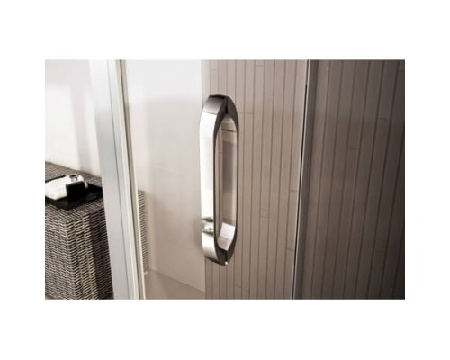 Стеклянная душевая дверь Weltwasser WW900 900S2-120/S2-140