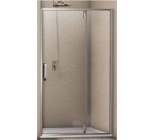 Стеклянная душевая дверь Weltwasser WW900 900К01-120