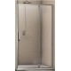 Стеклянная душевая дверь Weltwasser WW900 900К01-120
